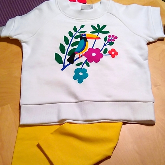 Hanna Andersson Other - Hanna Andersson Top & Crop Leggings